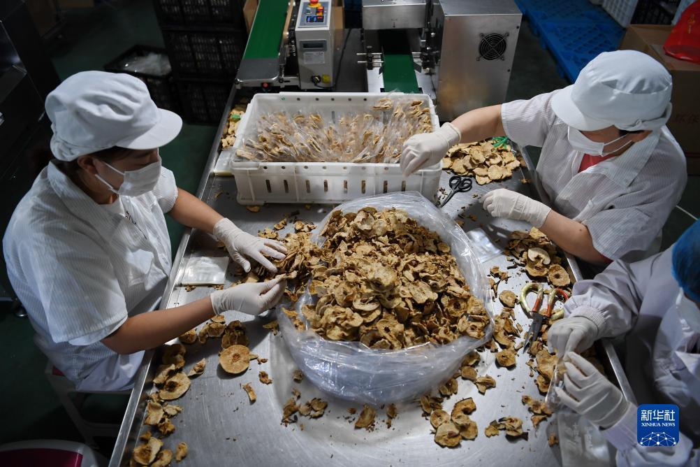彩娱乐官方网站大全